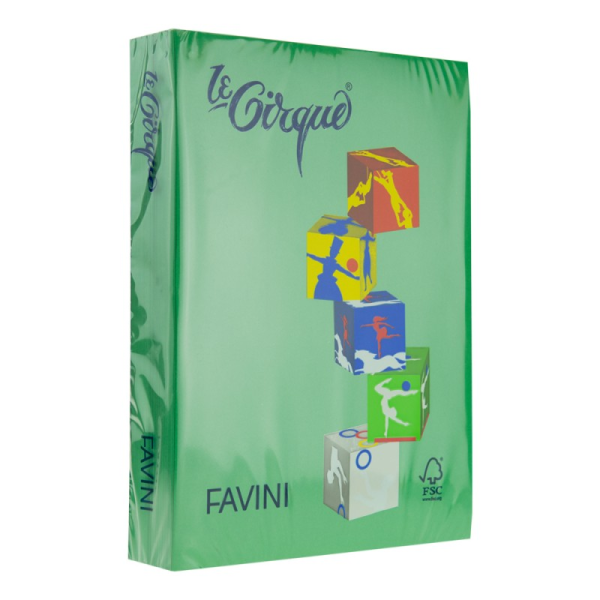 HARTIE COLORATA 80G/MP A4 207 VERDE PADURE FAVINI A718504