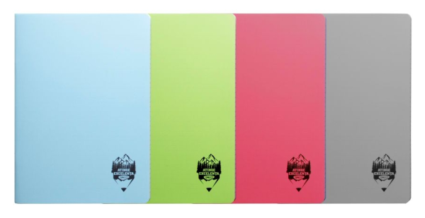CAIET A5 80 FILE COPERTA PLASTIC ATINGE EXCELENTA CT582AR