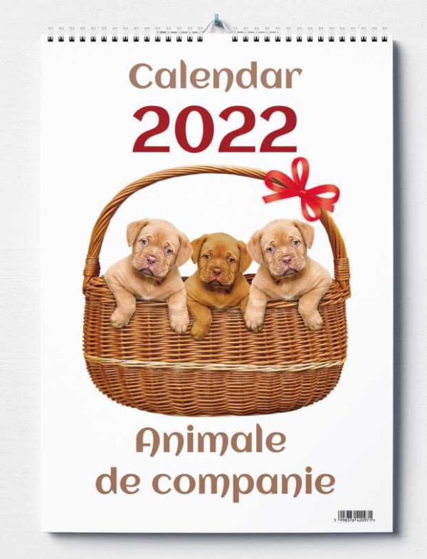 CALENDAR PERETE 2025 ANIMALE DE COMPANIE
